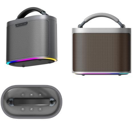 Portable Indoor Outdoor 30W BT Bluetooth Speaker with RGB IPX5 waterproof with handle